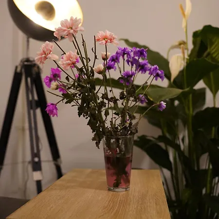 Aparthotel Im Szenekiez 3*