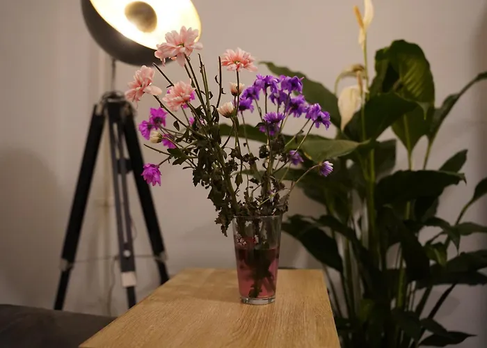 公寓式酒店 Im Szenekiez 3*